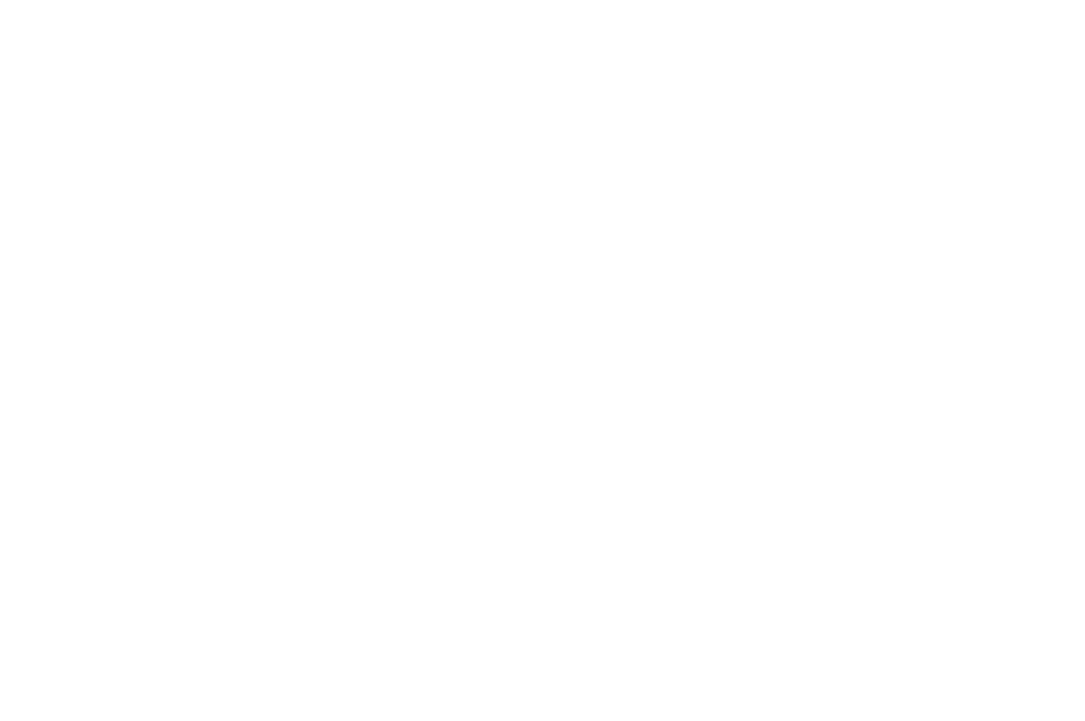 Updated Framework Digital Marketing Logo White